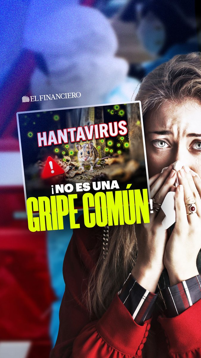 ⚠️🦠 El hantavirus puede parecer una simple gripe al inicio, pero en horas puede provocar insuficiencia respiratoria grave. El virus se transmite al inhalar partículas contaminadas por roedores y su tasa de mortalidad puede superar el 35%