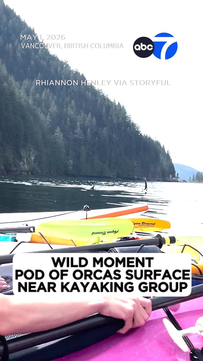 A kayak guide captured the wild moment a pod of orcas swam beneath and around a school group in a fjord of Vancouver.