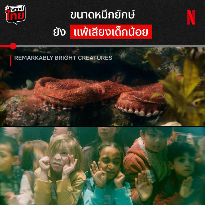 เห็นแล้วอยากเอาหนวดหยิกหลัง /พี่หมึกไม่ได้กล่าว นอกจากต้องฟังเสียงเด็ก พี่หมึกยังต้องรับฟังปัญหาชีวิตให้คุณยายไม่มูฟออน และพ่อหนุ่มใจพังด้วย เรื่องราวของพวกเค้าสองคน กับอีกหนึ่งตัวจะเป็นยังไงต่อ มาเปิดอควาเรียมบำบัดใจได้แล้วใน #RemarkablyBrightCreatures ที่ #NetflixTH ครับ