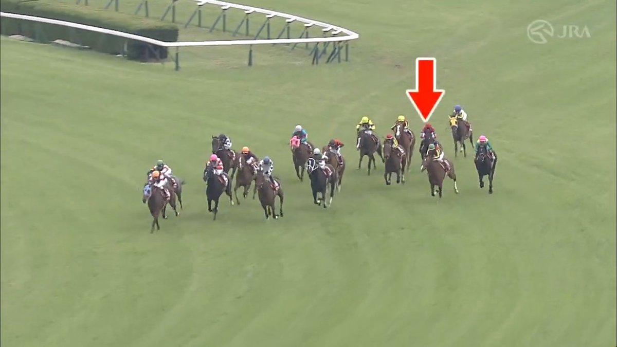 ————————————— ⠀ 記憶に残る一戦🏇 ————————————— 2013年の京都新聞杯は #キズナ が優勝👑 次走・日本ダービーで世代の頂点に立つ名馬の末脚をご覧ください！