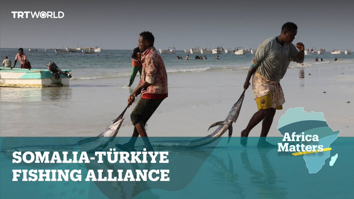 Somalia has partnered with Türkiye to develop marine resources and combat illegal fishing. The initiative aims to modernise the fishing industry using advanced maritime technology. Watch the full show: