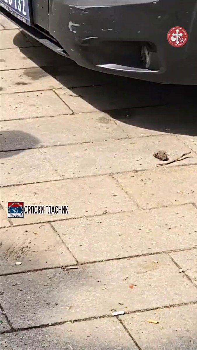 ‼️Види ли ишта полиција и зашто не? 🎥 Немања Шаровић