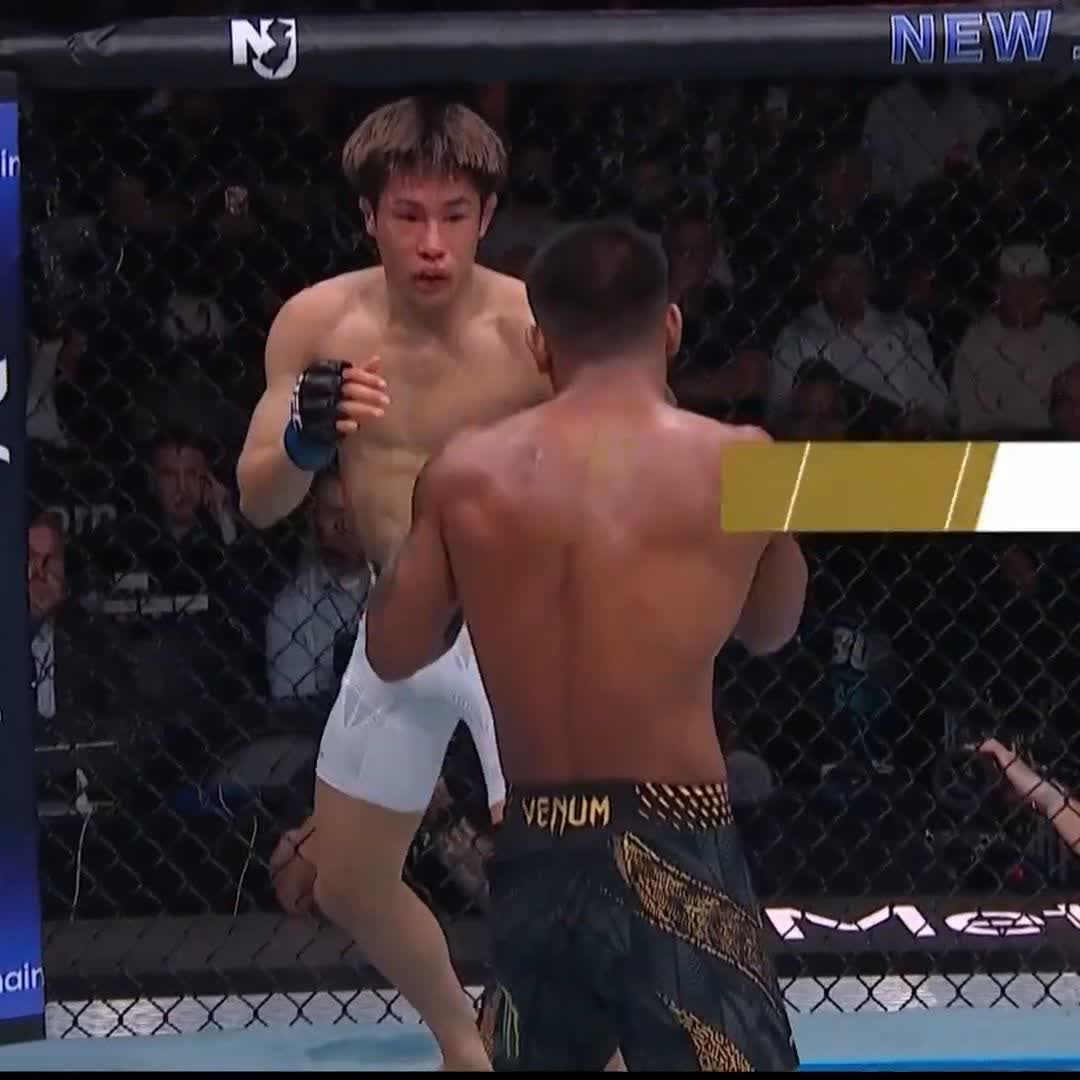 スタンドで平良達郎を圧倒したヴァン…！ #UFC