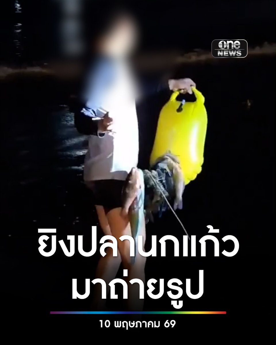 นักท่องเที่ยวต่างชาติ ยิง “ปลานกแก้ว” สัตว์ทะเลคุ้มครองไทย มาถือเป็นพร็อพถ่ายรูป หยิบ “ปลาดาว” มาเซลฟี ที่ชายหาดกะตะ จ.ภูเก็ต #สำนักข่าววันนิวส์
