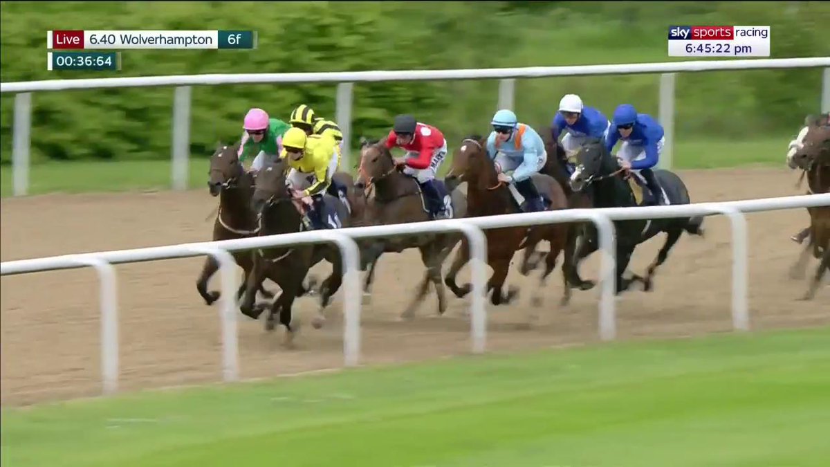 On this day in 2019! 🌟 PINATUBO burst onto the scene at Wolverhampton Races, sprinting clear to make a winning debut! 🤩 What a star he was for Godolphin! 🔵