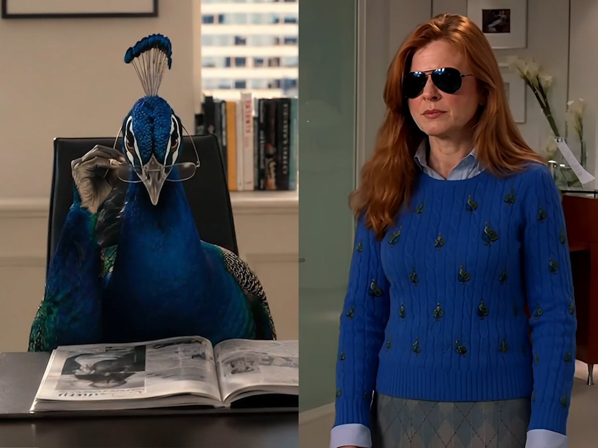 Ho aggiornato il Diavolo veste Prada 🎬🦚 #pavoni
