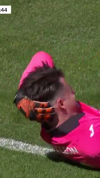 It´s a shame, Captain of RSC Anderlecht btw... 🤡