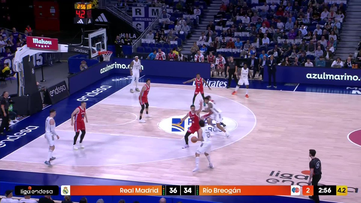 🍊 ¡CLÍN, CLÍN, CLÍN, CLÍN! Llega la 𝙏𝙀𝙈𝙋𝙊𝙍𝘼𝘿𝘼 𝘿𝙀 𝙈𝘼𝙉𝘿𝘼𝙍𝙄𝙉𝘼𝙎 al Movistar Arena, y Sergio Llull la celebra... a golpe de MANDARINAZO. 📺 DAZN España | #LigaEndesa Real Madrid Basket
