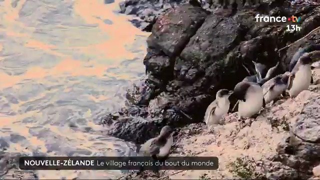 🇳🇿🏝️Situé à 19000 kilomètres de l'Hexagone et colonisé par les Français il y a près de deux siècles, il est resté le plus français des villages néo-zélandais. Une escapade inoubliable pour ceux qui souhaitent allier histoire, culture et nature. 👇H. Abdelkhalek, V. Reynaud