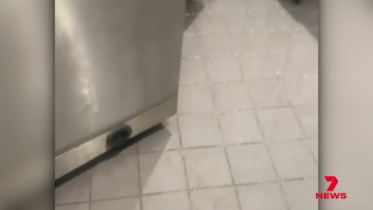 One of Sydney's biggest shopping centres is in the grip of a rat infestation that has workers at their wit’s end. Shocking new video shows the rodents running wild in the food court at Westfield Bondi Junction.