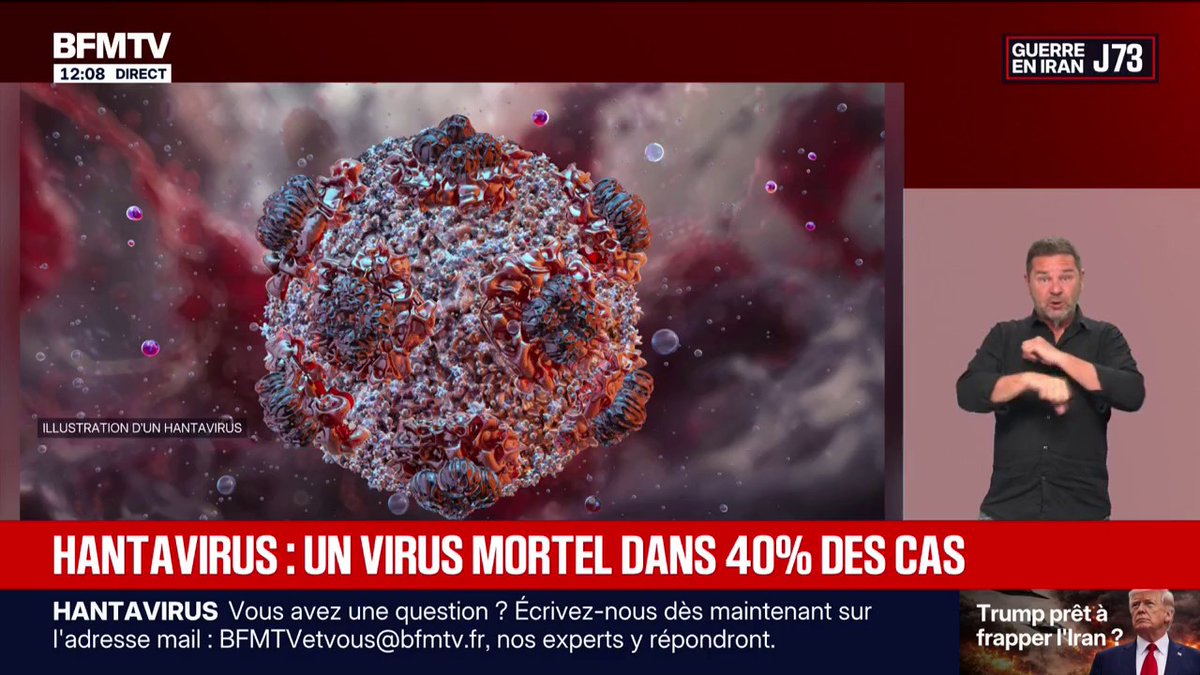 Hantavirus: voici à quoi ressemble le virus qui a contaminé une Française