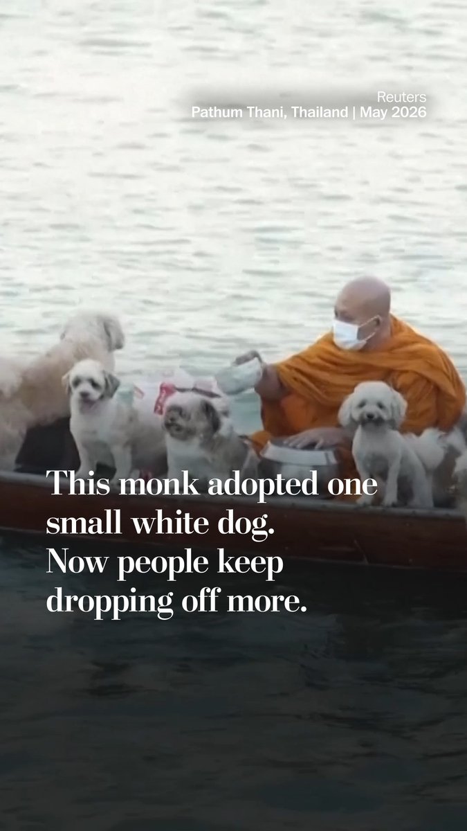 Luang Por Chamnan, a Buddhist monk and abbot of a temple in Thailand, planned to just take in one small white dog. Now he's caring for twenty, with the help of temple aides.