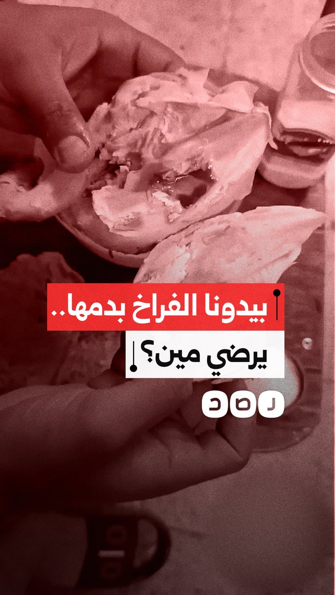 طلاب يشكون من سوء جودة وجبات الطعام بالمدينة الجامعية الأزهرية في القاهرة