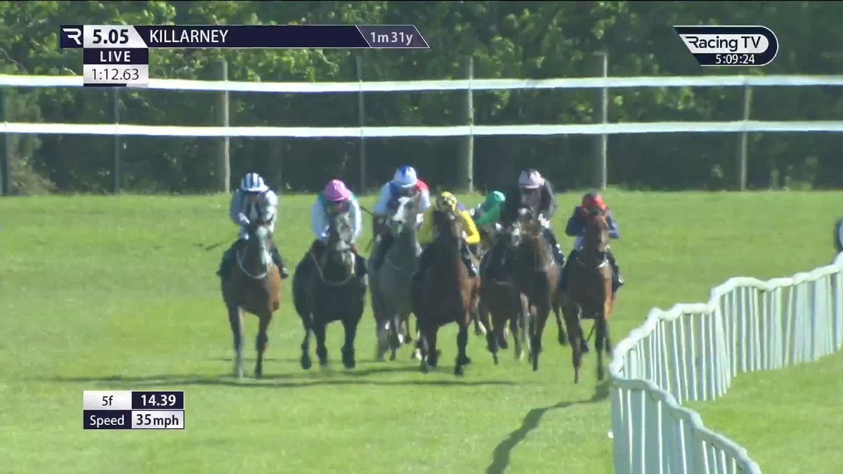 ✅ Alphonsus Liguori (Study Of Man) gamely opens his account KillarneyRaces