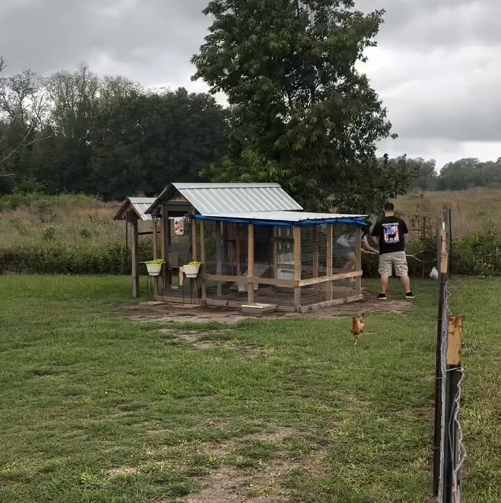Glock-a-doodle-doo