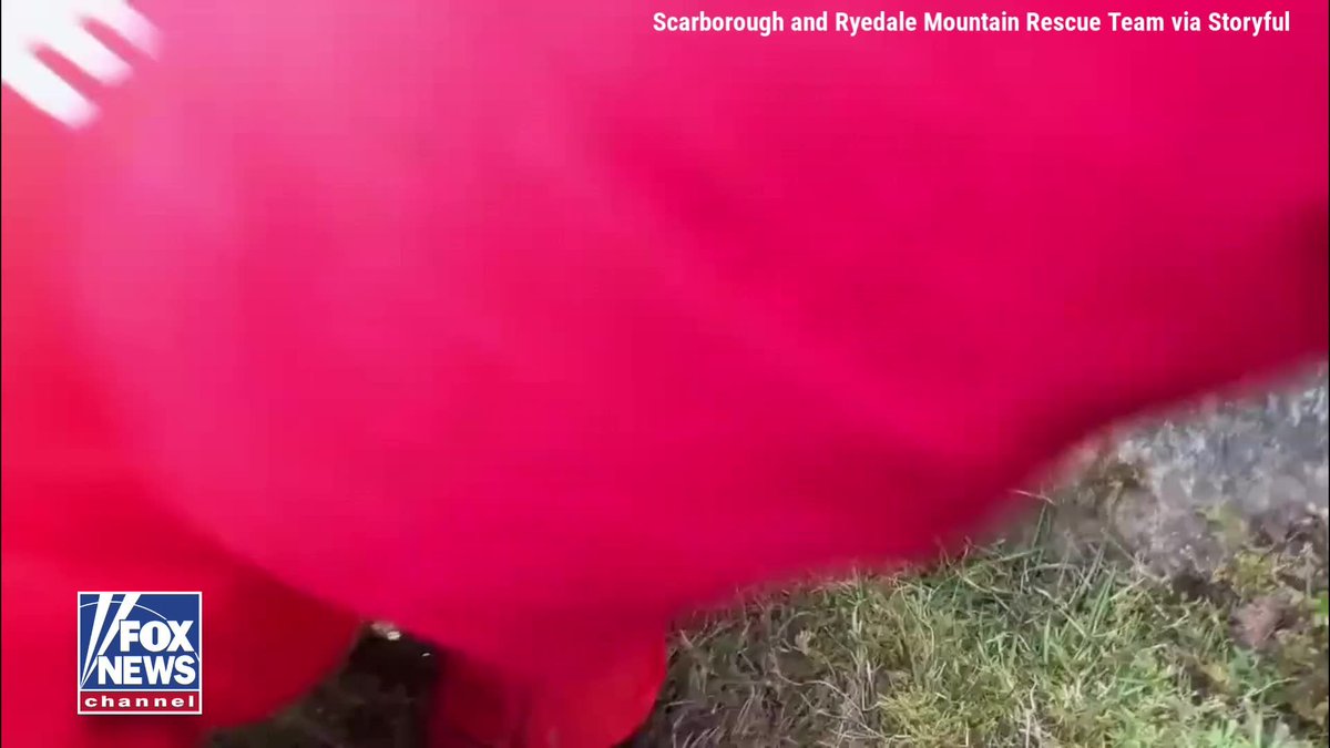 A trapped dog was rescued after falling more than 21 feet "deep underground" in England's North York Moors. A brave cave diver managed to squeeze through the tight gaps to reach the trapped pup and lift her to safety.