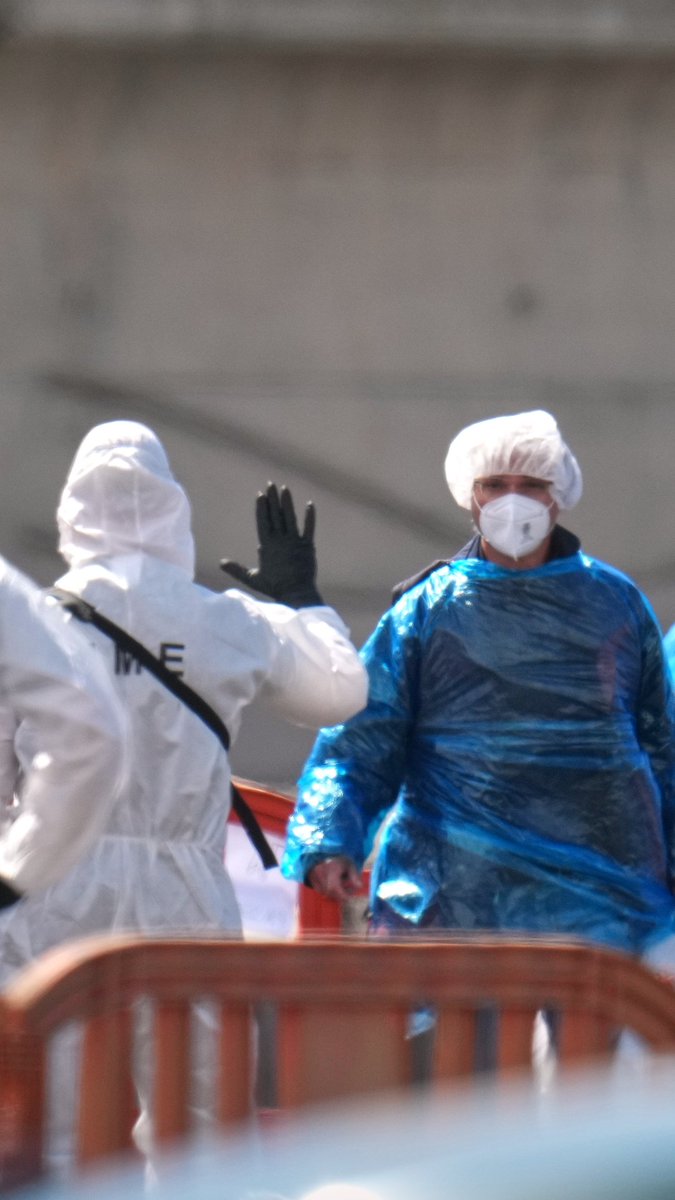 The MV Hondius hantavirus outbreak has now reached 11 reported cases, 9 of which have been confirmed. The risk to the wider public from the outbreak is low, the World Health Organization says. While there is no cure or vaccine for hantavirus, the WHO says early detection and treatment improves survival rates.