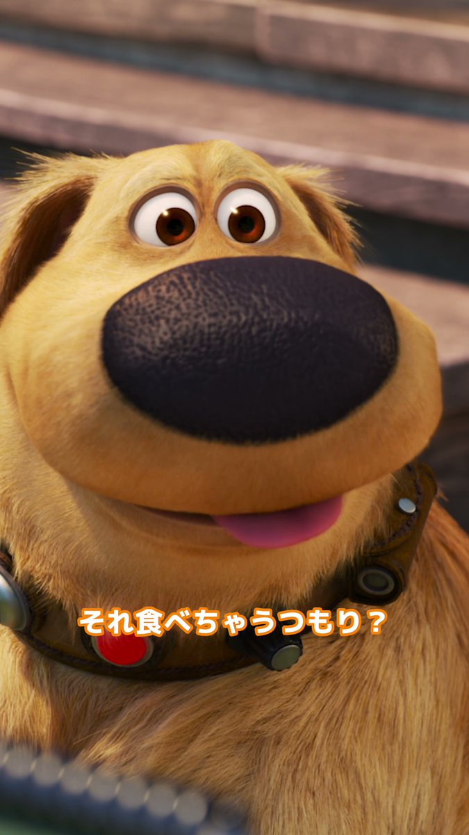 ⋱＼ 今日は #愛犬の日🐾／⋰ 気持ちがダダ漏れの おしゃべり犬 ダグ…🐶💭 と思いきや、リスも喋ってる⁉🐿💭 こんなに可愛くて頼もしい愛犬と暮らせたら 毎日が賑やかで楽しそう🏠🎈 #ダグの日常 #ディズニープラス で配信中🦴