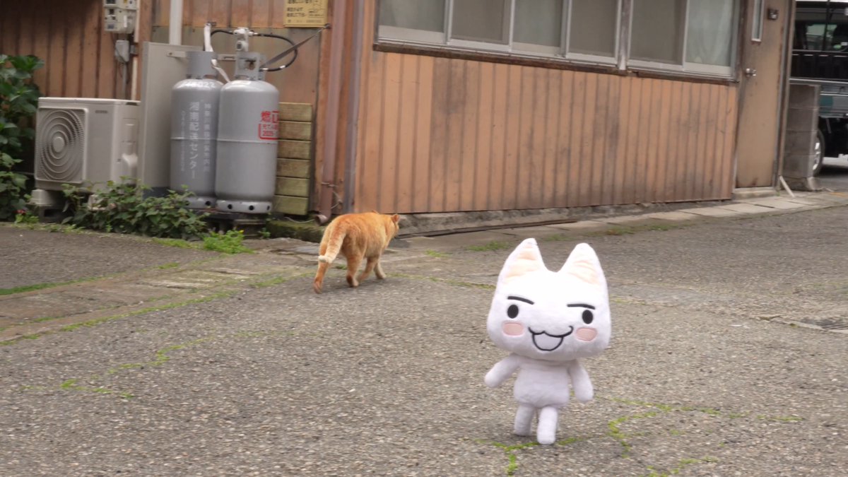 不審な目で見られるトロ #どこでもいっしょ