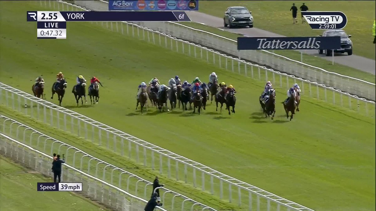 Second last year, winner this year! Dark Thirty strikes in the £60,000 Churchill Tyres Handicap from the eye-catching Binhareer at York Racecourse Sean Quinn | Jason Hart