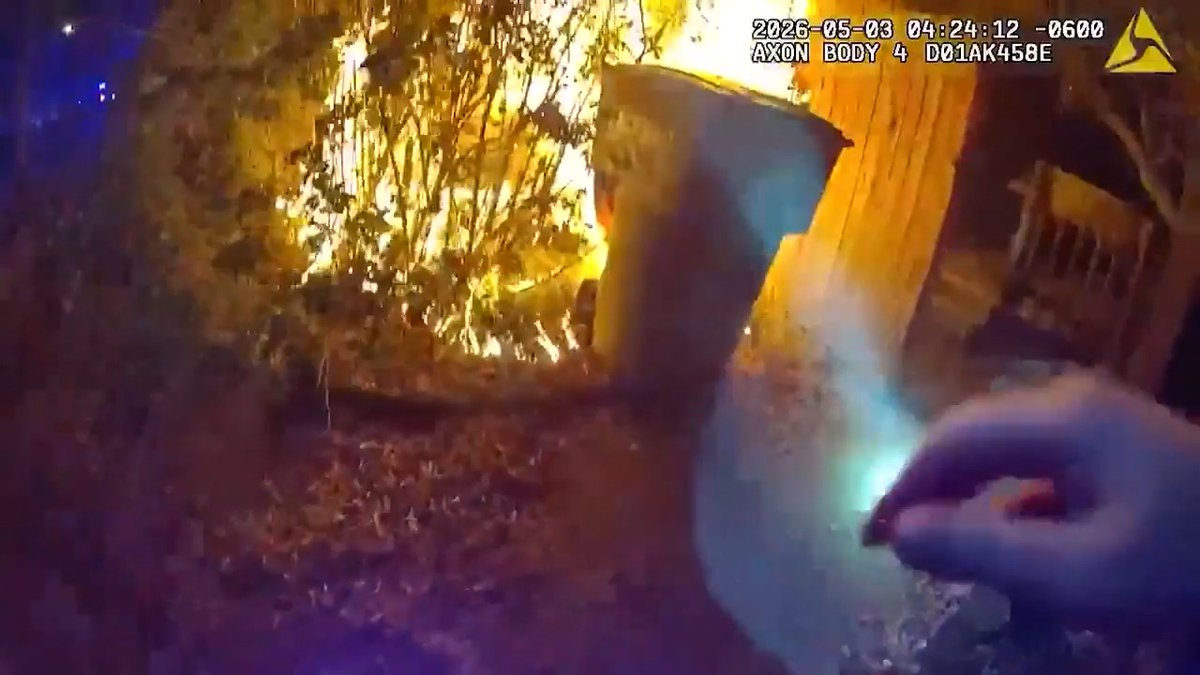 Colorado cops sprang into action to save a dog from a burning building earlier this month ... and the whole rescue was captured on camera. 🎥: Westminster Police via Storyful