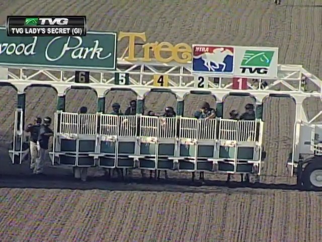 Horse Racing needs another Zenyatta quickly…
