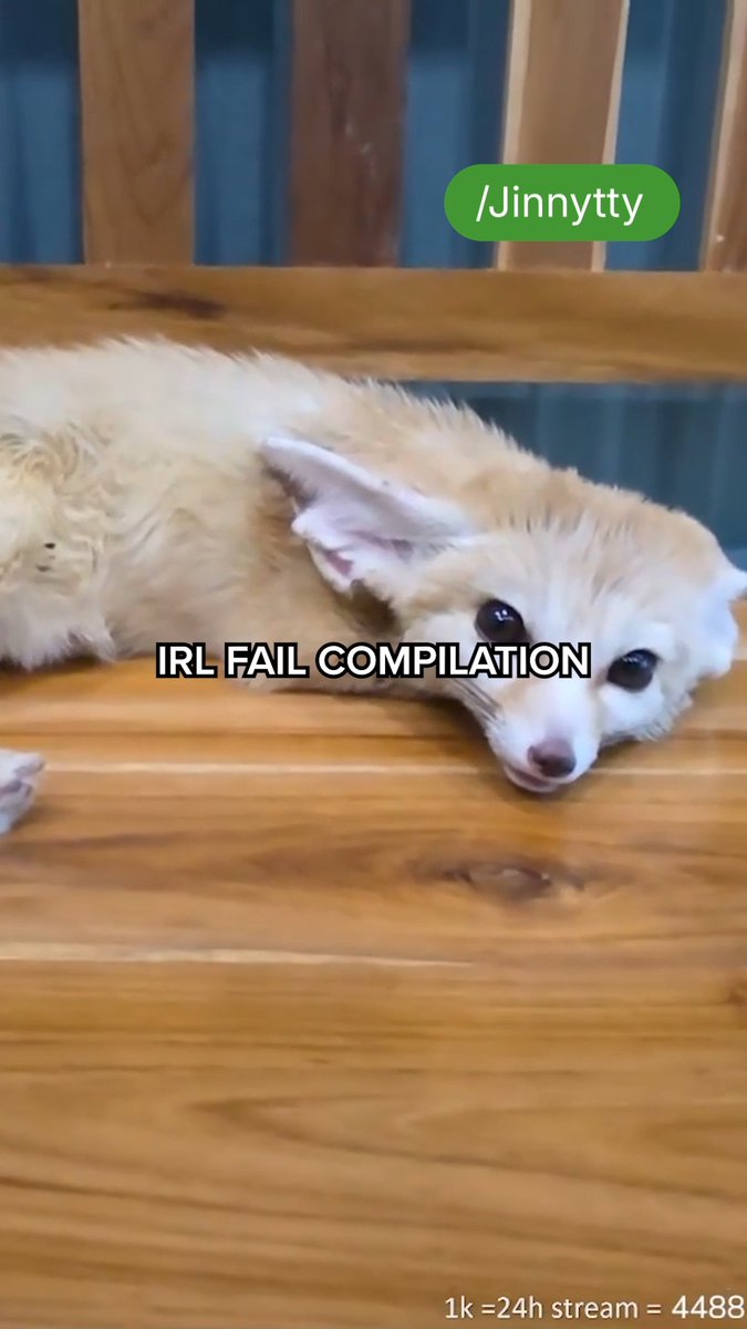 anything can happen. that’s IRL