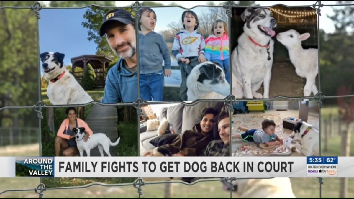 Our fight to #SaveLucy, the dog who survived war, is getting media attention. She saved me ten years ago. Now I'm fighting to save her. Thanks to Mason Willett at WHSV Harrisonburg. Dolly Spice- Jones 🌱🎵 is radiant. Leisha, this couldn't have happened without you. Catturd ™