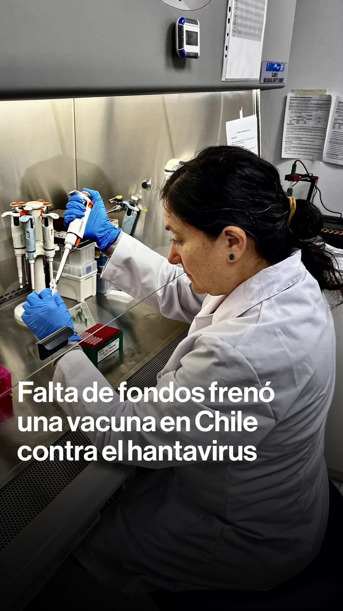 Científicos en Chile estuvieron cerca de una vacuna contra el hantavirus, pero se quedaron sin fondos. Hoy, un brote en un crucero vuelve a poner el foco en esta enfermedad. ¿Qué pasó? Antonia Mufarech explica