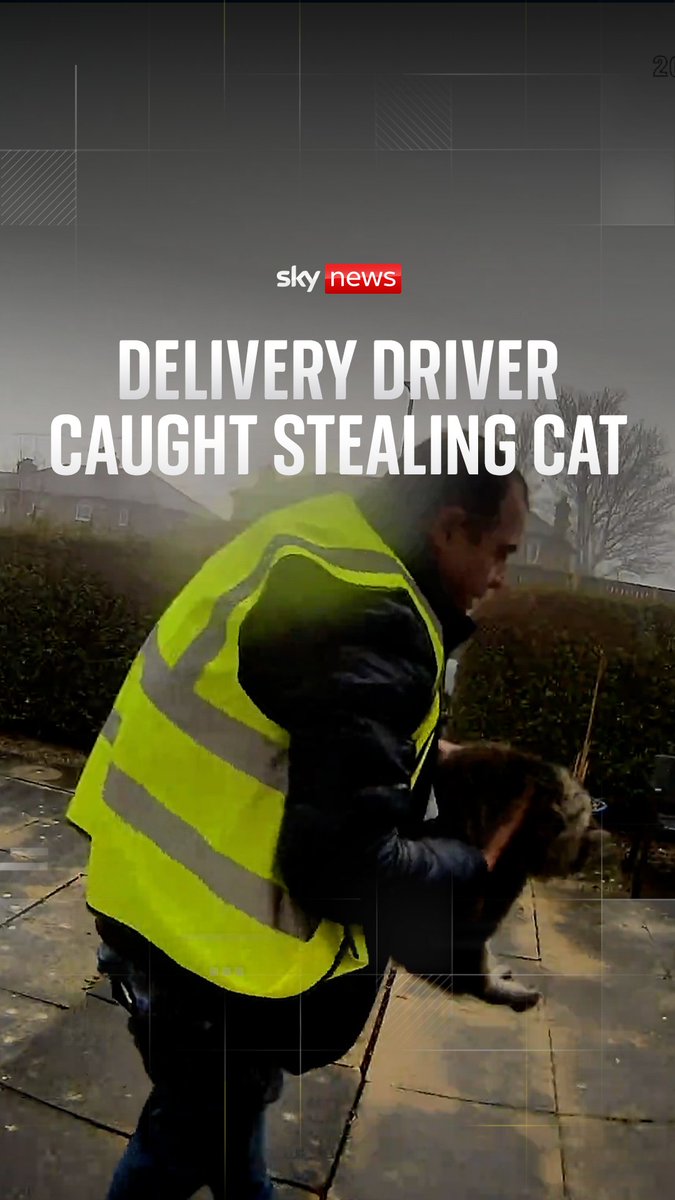 Watch the moment a delivery driver steals a cat from a doorstep. Delivery driver Catalin Stancu was captured on a doorbell camera stealing Nora the cat outside her home in West Yorkshire. The family posted the footage online in an effort to bring their pet home.