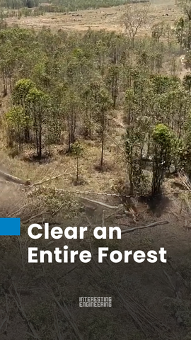 This machine cuts and shreds trees directly on-site using a rotating mulching head. It allows rapid vegetation removal across large areas. 🎥 : ZeInfo