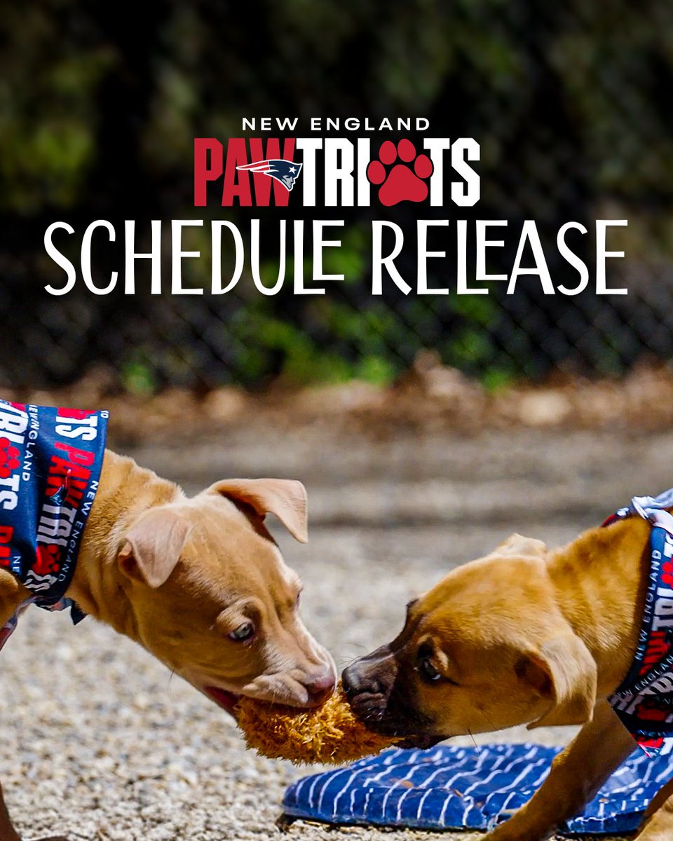 The goodest schedule release EVER 😍🥹🐶