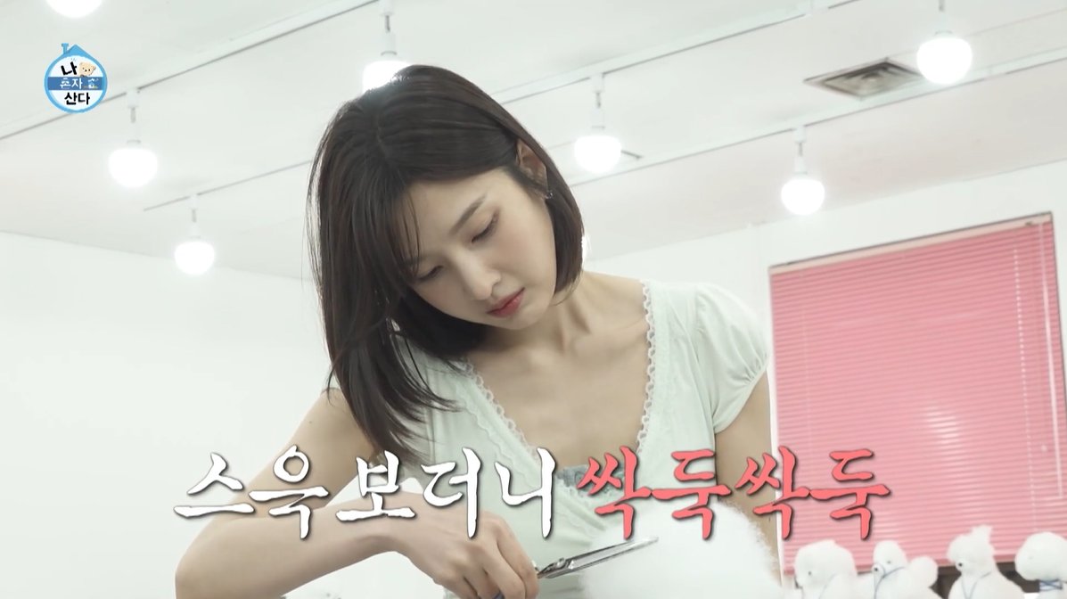 [선공개] 애견 미용 연습 준비 완료!🐩 #조이 의 제법 능숙한 가위질✂️ <#나혼자산다> [금] 밤 11:10 방송🧸 MBC 260515 방송 ⓒ MBC&amp;iMBC 무단 전재, 재배포 및 이용(AI학습 포함)금지