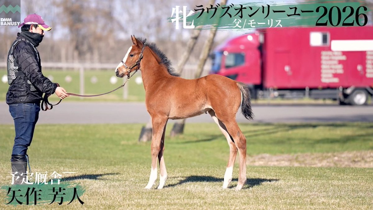 【1口1円の特別募集】 本日5月15日(金)18:00より 特別募集を開始しました ラヴズオンリーユー2026(牝.当歳) 父 #モーリス 母 #ラヴズオンリーユー 厩舎 矢作芳人/関西 本馬は「1口1円 40000口」 で募集となります。 ▼キャンペーンページへ