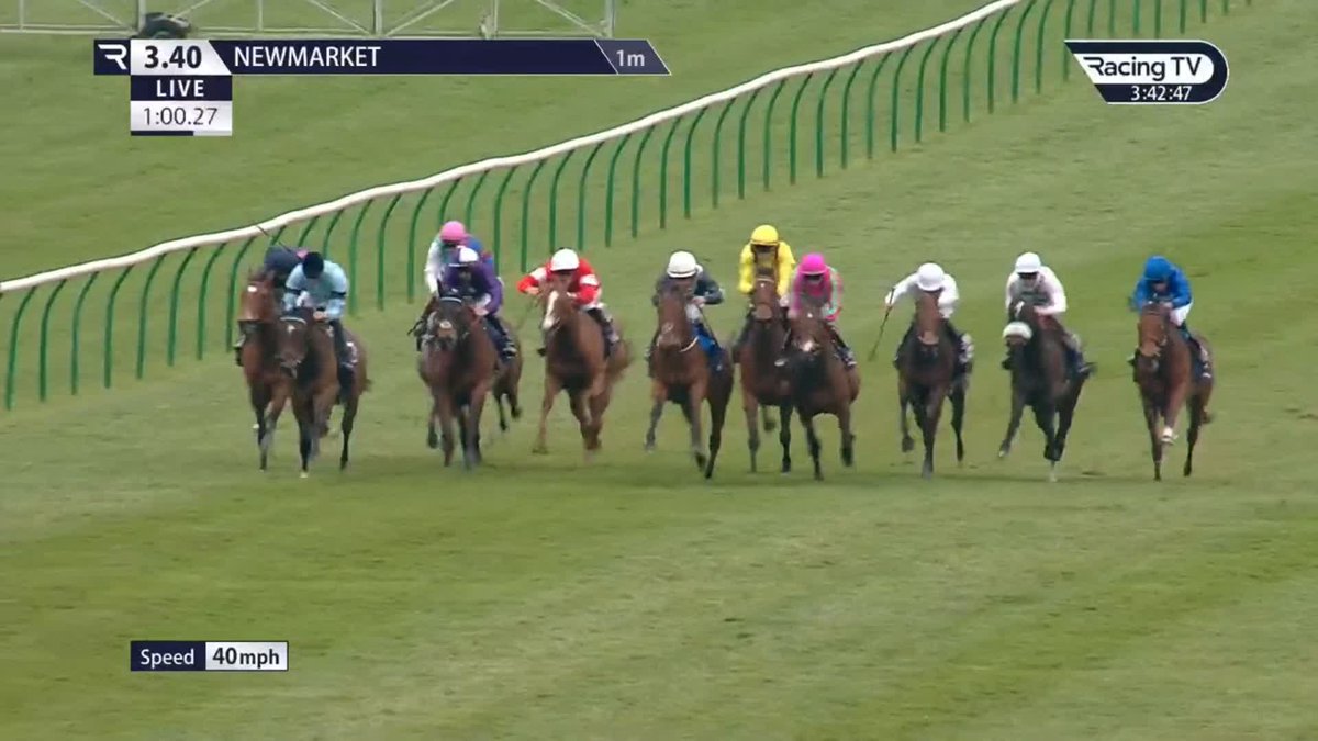 Very sad news that 2022 Group 1 1000 Guineas winner Cachet has passed away She is registered as having died on January 22nd this year She has a Kingman yearling colt in Japan