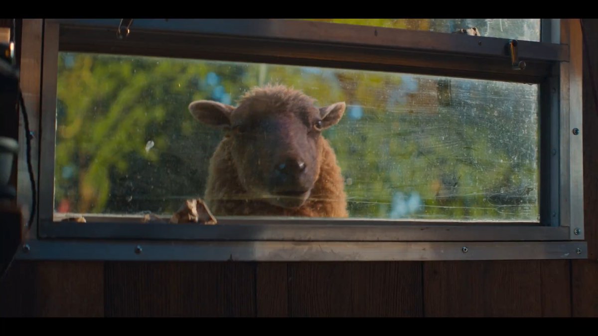 /／ メェ〜探偵による メェ〜推理が炸裂🐏💥 \＼ 賢いリーダー・リリーを筆頭に もふもふのメェ〜探偵たちが 捜査を開始する本編映像が到着🐏🔍 ひつじたちと一緒に 劇場で犯人を見つけ出そう❕ 映画『#ひつじ探偵団』 全国の劇場で大ヒット上映中🍀 🍿お近くの映画館