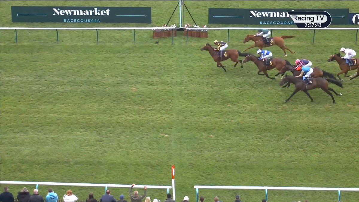 Asgard's Captain makes it 10 career wins and counting in our £18,000 Boodles Handicap, bringing up a fine across-the-card double for Dylan Cunha Racing LTD