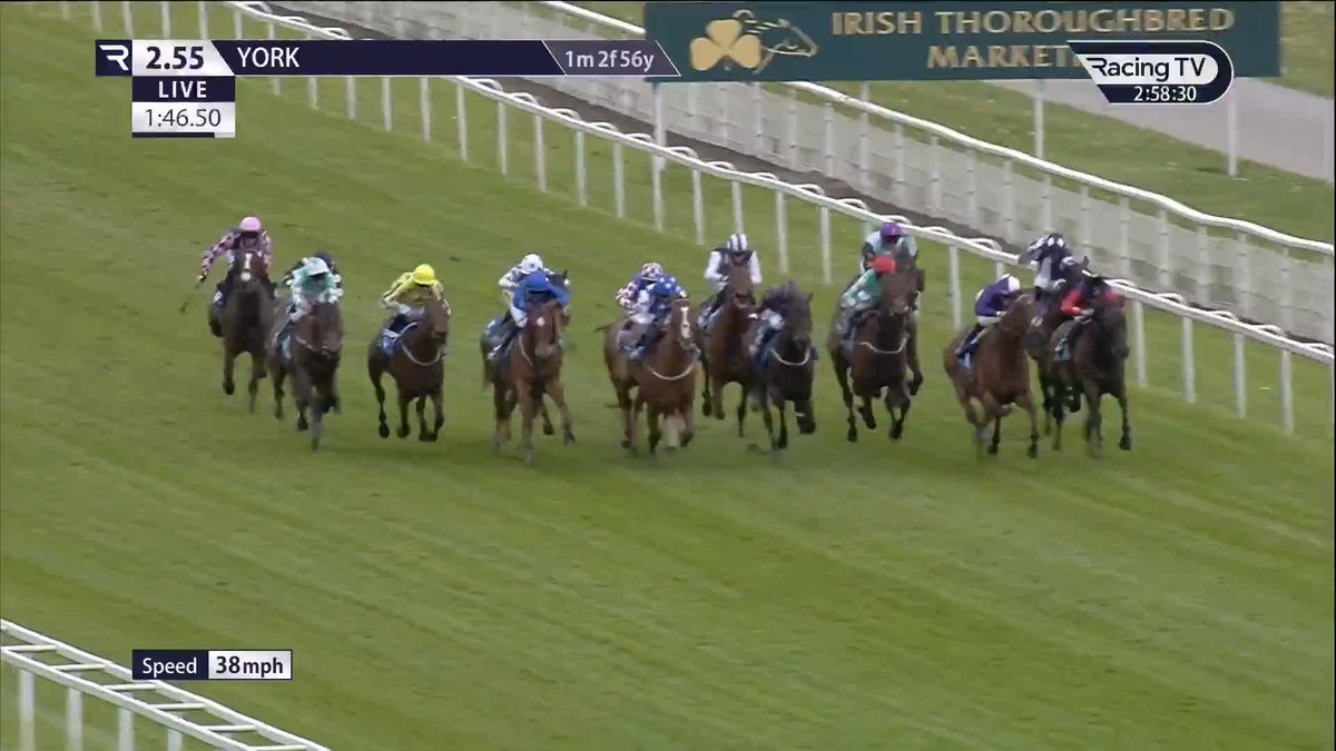 Royal winner at York Racecourse! Warrant Holder strikes in the colours of the HM The King &amp; HM The Queen under William Buick for John and Thady Gosden
