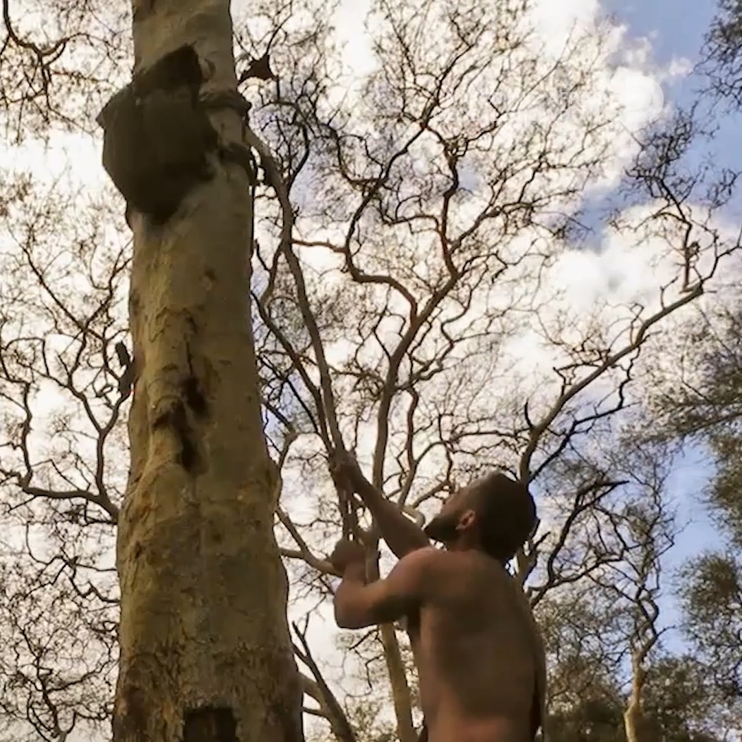 With country pride on the line, these duos are battling it out and giving it everything they’ve got 💪 #NakedAndAfraid: Global Showdown premieres Sunday at 8P on Discovery.