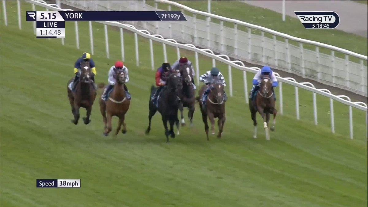 Impressive Wood Ditton winner Portcullis (Frankel) follows up to remain unbeaten in the Dante Festival finale at York Racecourse ☑️