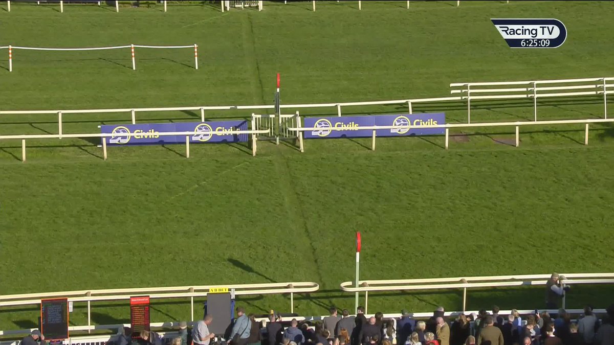 The 13-year-old Brewin'upastorm runs a blinder in second but can't reel in favourite Ike Sport at Aintree Racecourse Neil Mulholland