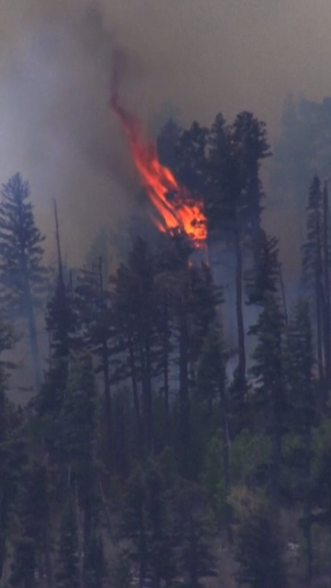 A small medical plane crashed in a mountain range outside Ruidoso, New Mexico, before dawn Thursday, killing all four people aboard and sparking a wildfire in the surrounding forest, officials said.