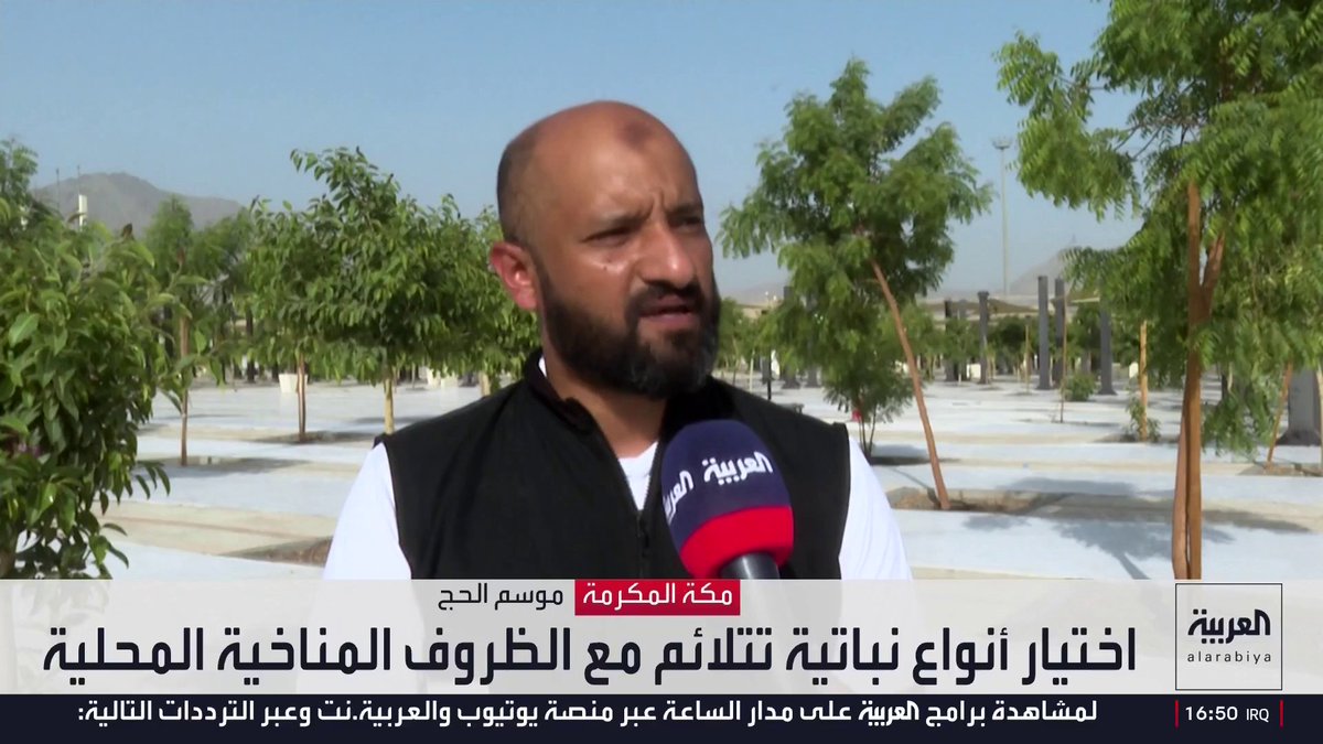 لحماية الحجاج من ارتفاع درجة الحرارة.. السعودية تضاعف عدد الأشجار في المشاعر المقدسة 3 مرات استعدادا لموسم الحج قناة العربية