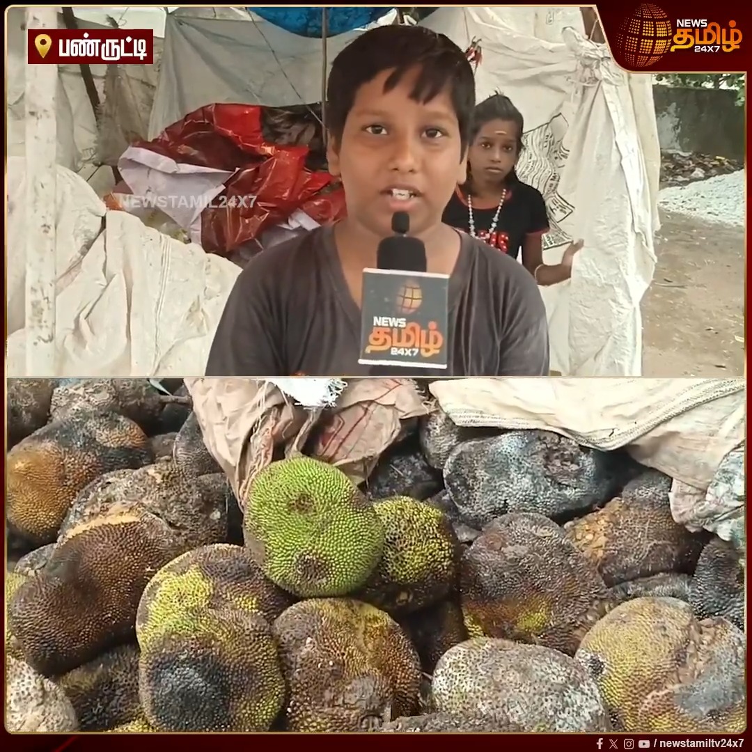 பண்ருட்டியில் பலாப்பழம் மழையில் நனைந்து டன் கணக்கில் அழுகி நஷ்டம் ஏற்பட்டதால் ஸ்கூல் பீஸ் கட்ட முடியாமல் வேதனை.. நஷ்ட ஈடு வழங்க வேண்டும் என்று முதலமைச்சருக்கு கோரிக்கை விடுத்த பள்ளி மாணவன்..! #Panruti #jackfruits #heavyRain #ChiefMinister #RainyDays #Newstamil24x7