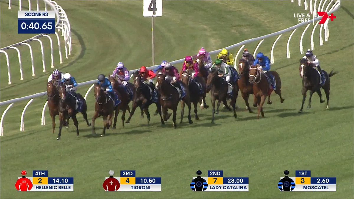 QUEEN REGENT AT 150-1 🤯 Blake Ryan Racing