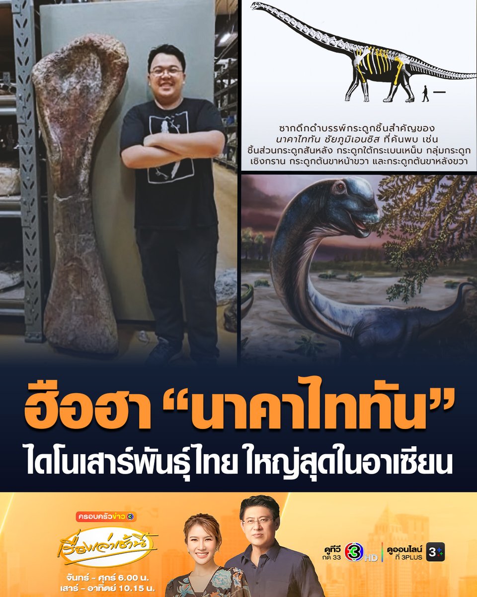 #เรื่องเล่าเช้านี้ ฮือฮา! นักวิทยาศาสตร์ค้นพบ ไดโนเสาร์ยักษ์สายพันธุ์ใหม่ ที่ จ.ชัยภูมิ ตั้งชื่อ “นาคาไททัน” เป็นไดโนเสาร์กินพืชชนิดใหม่ของโลกที่มีขนาดใหญ่ที่สุดเท่าที่เคยมีการค้นพบในอาเซียน มีขนาดใหญ่กว่า "ที เร็กซ์" 2 เท่า หนักถึง 27 ตัน #ข่าวช่อง3 #นาคาไททัน #ไดโนเสาร์