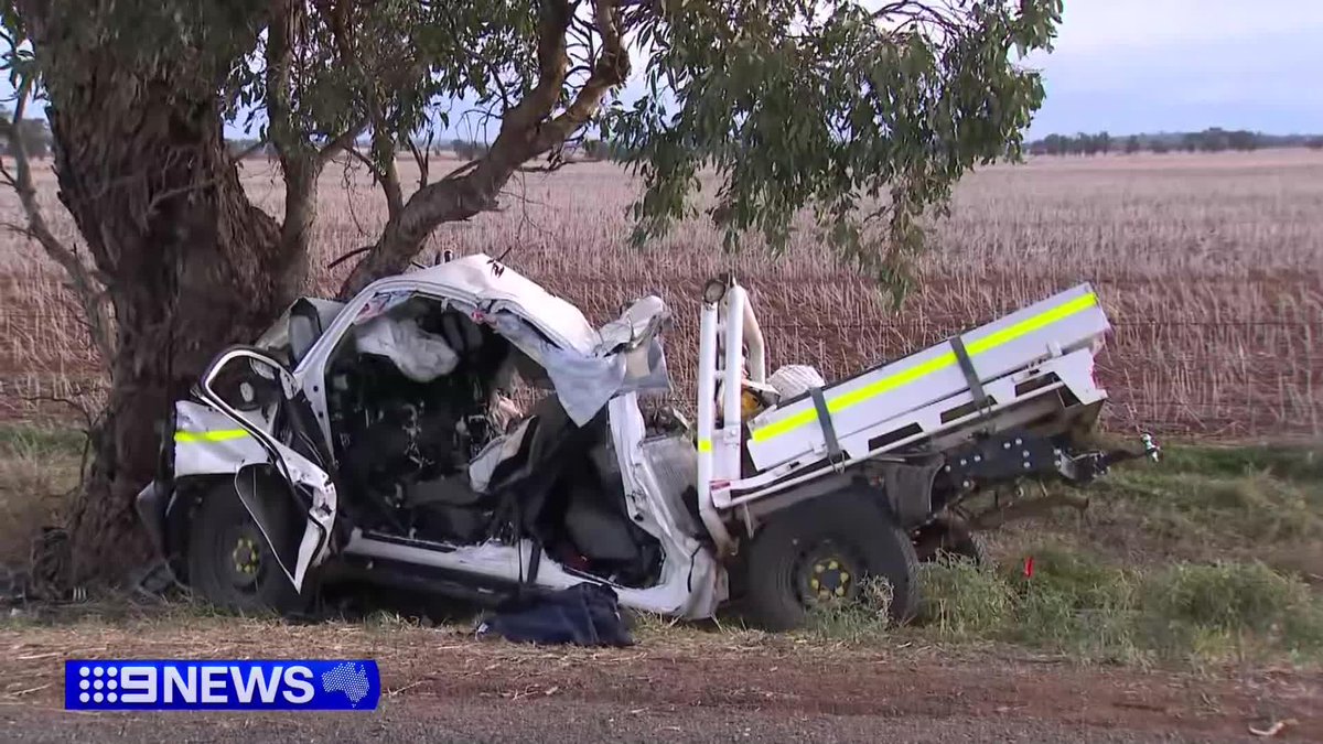 One teenager is dead and two others are fighting for life after the stolen car they were in slammed into a tree in the state's north west. Selina Zhang #9News