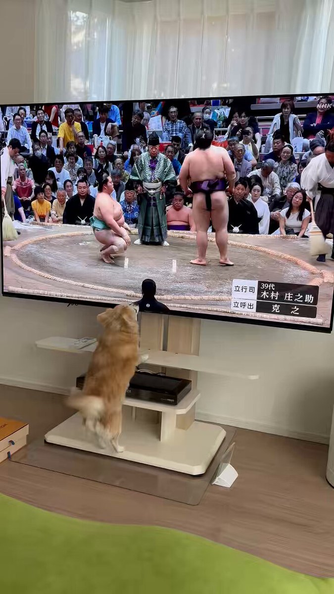 今日も全力応援‼️ エスコン行ってたから遅くなったぞ‼️