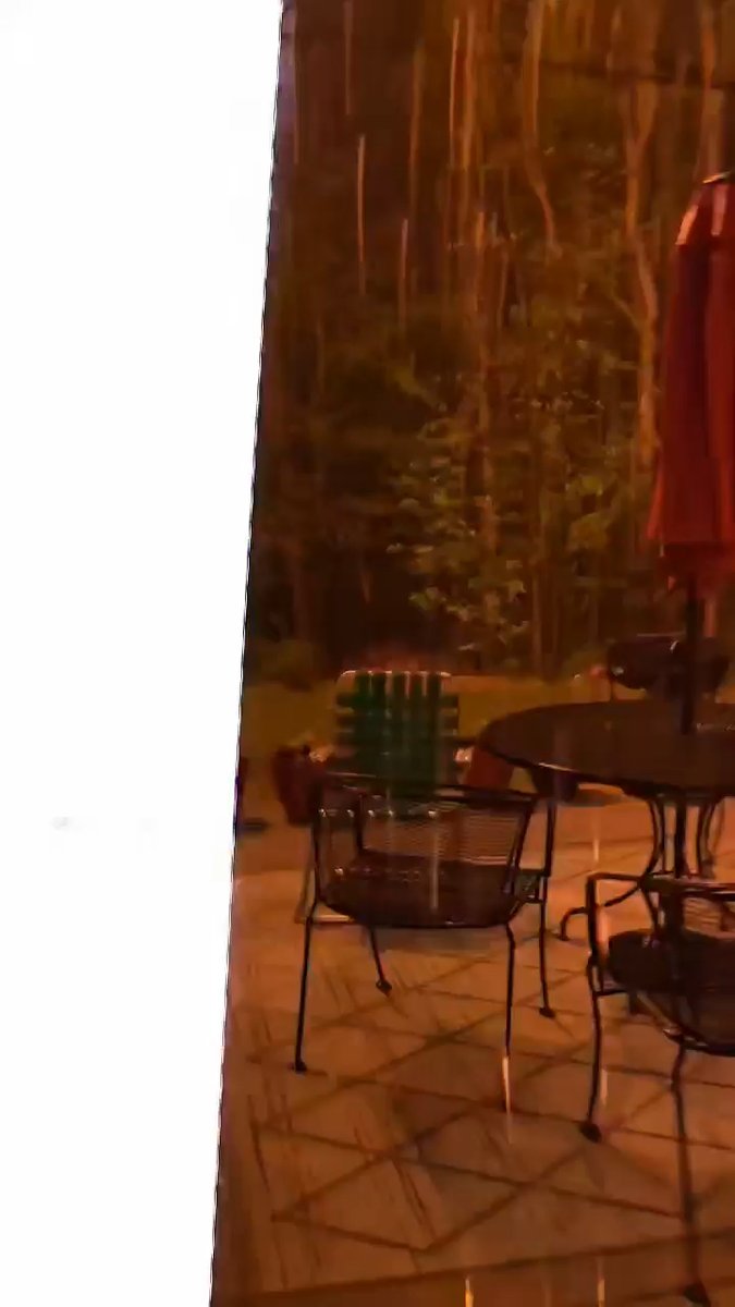 Wait for it… BOOM! Emily sent us this video from Rockford this morning where lightning struck a tree in very close proximity to where she was filming. When thunder roars, go indoors!