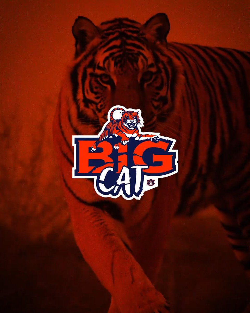 War Eagle! 🦅